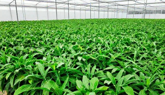 电力设备运维中的管理办法应用与实践分析